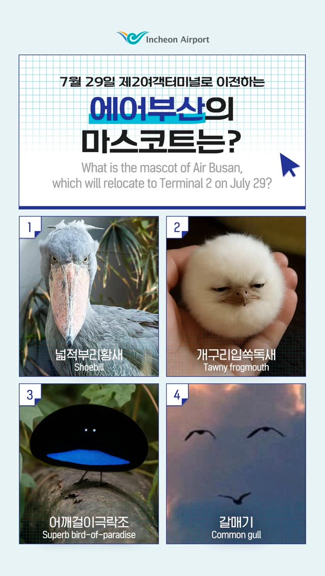 <h5>Solution</h5>
- Developing strategic messages for Incheon Airport as Korea’s representative airport and effectively delivering them to the public through social media<br /> 
- Implementing integrated marketing communications targeting citizens and travelers to enhance brand awareness and foster favorable public sentiment<br />